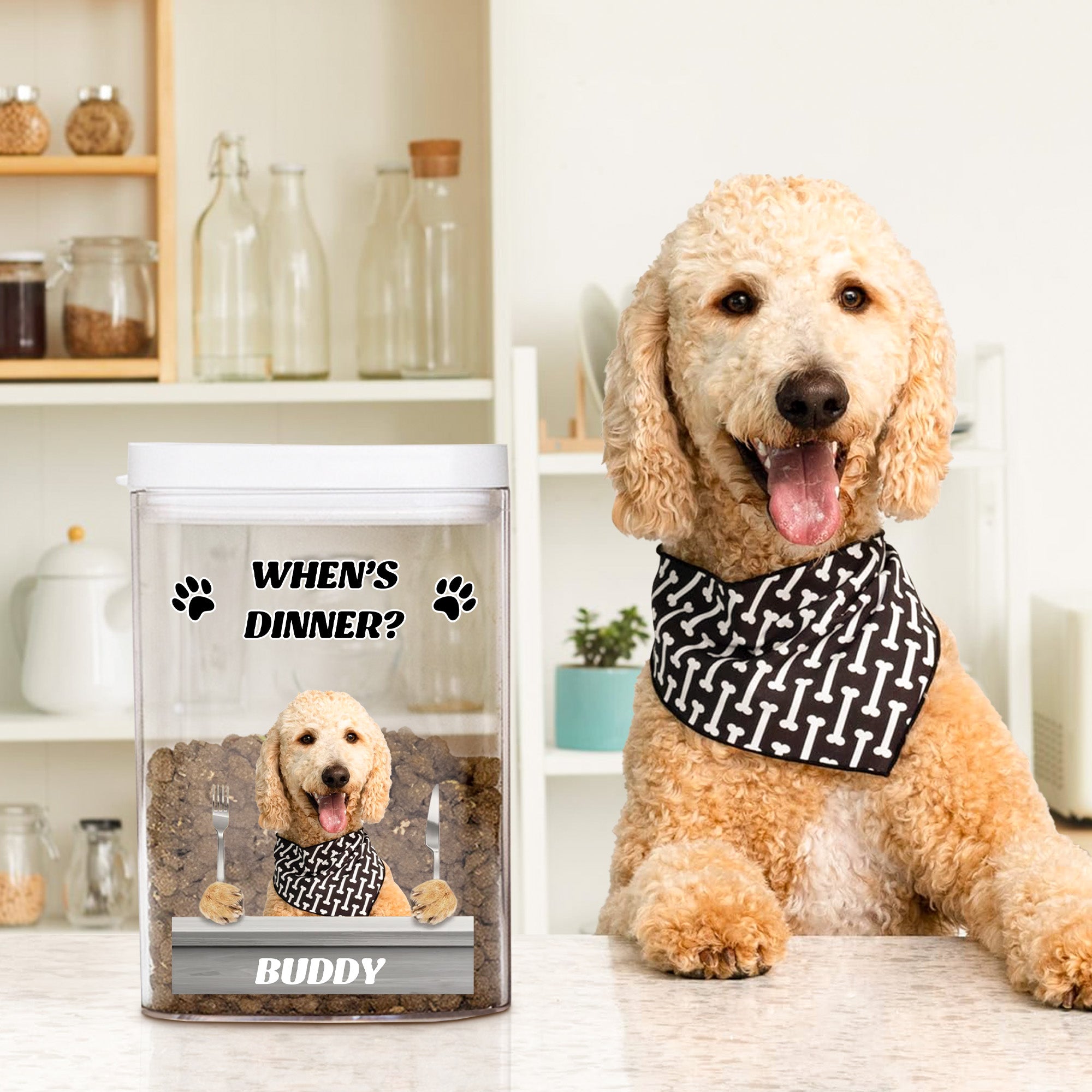 Tarro hermético personalizado con el nombre de la mascota Paws Dog Cat Photo Birthday Gift for Pet Owners Lovers