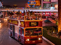 Big Bus Night Tours