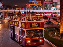Big Bus Night Tours