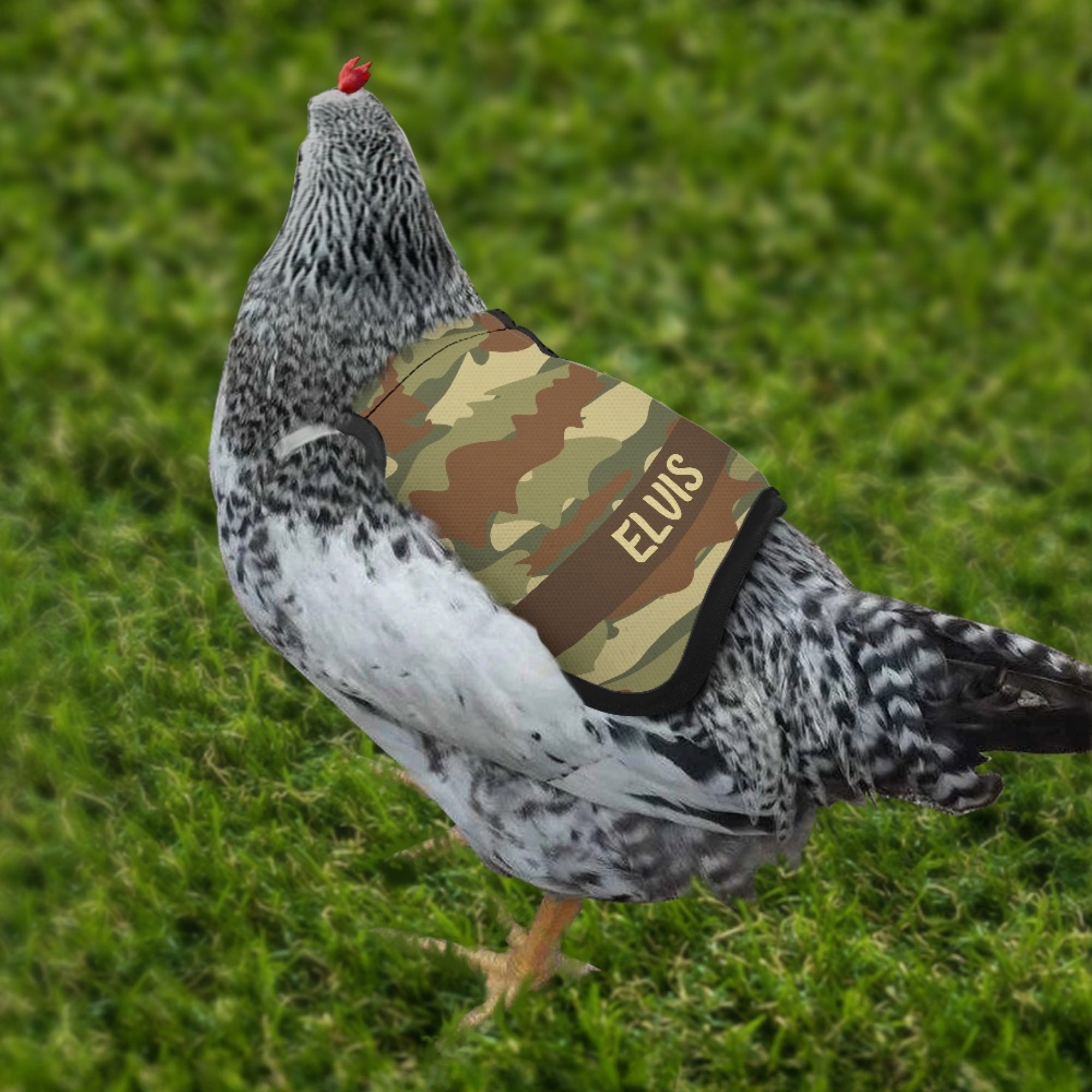 Protector transpirable para silla de montar de pollo con nombre, personalizado, multicolor y con diseño de camuflaje Regalo de fiesta para dueños de gallinas de granja
