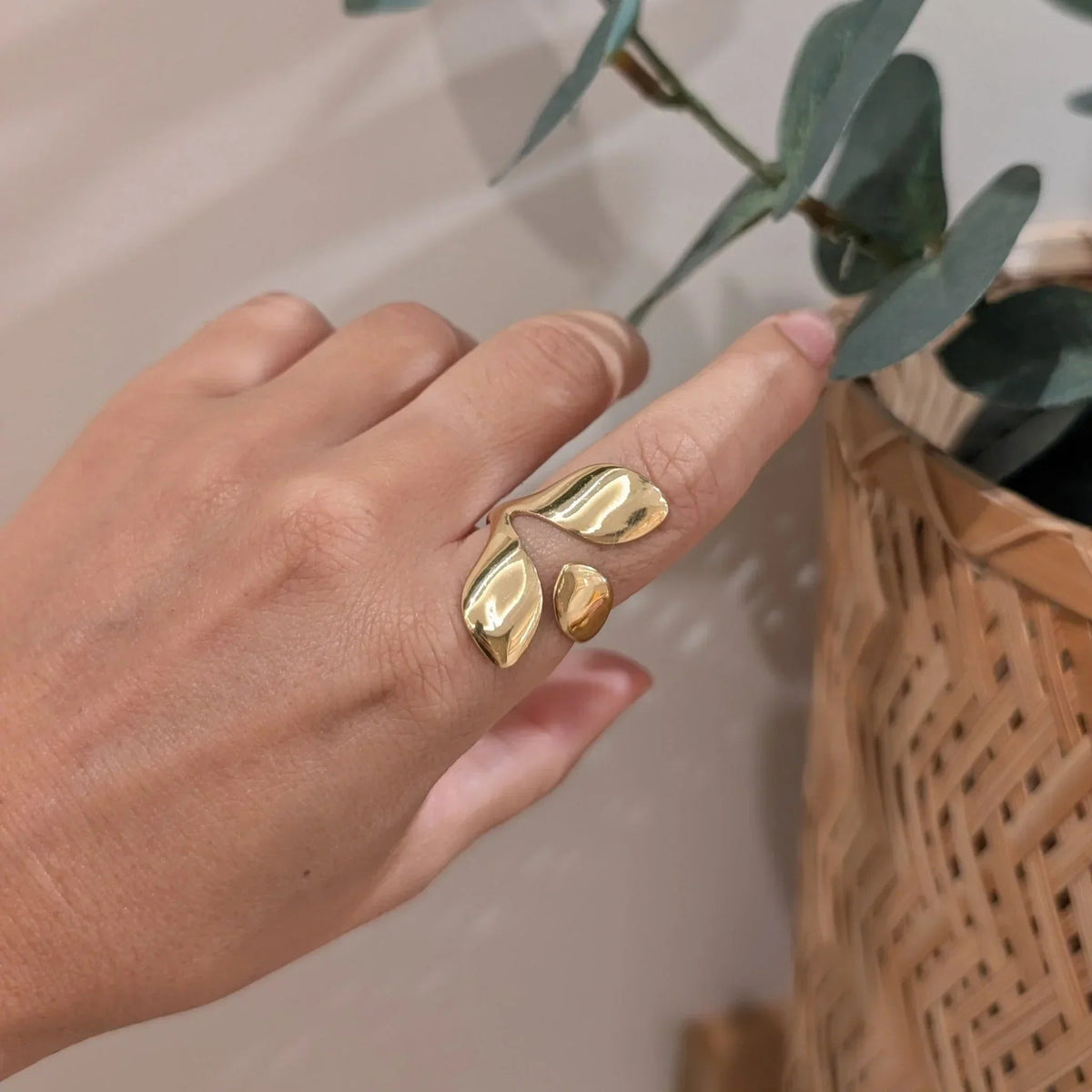 Anillo Afama