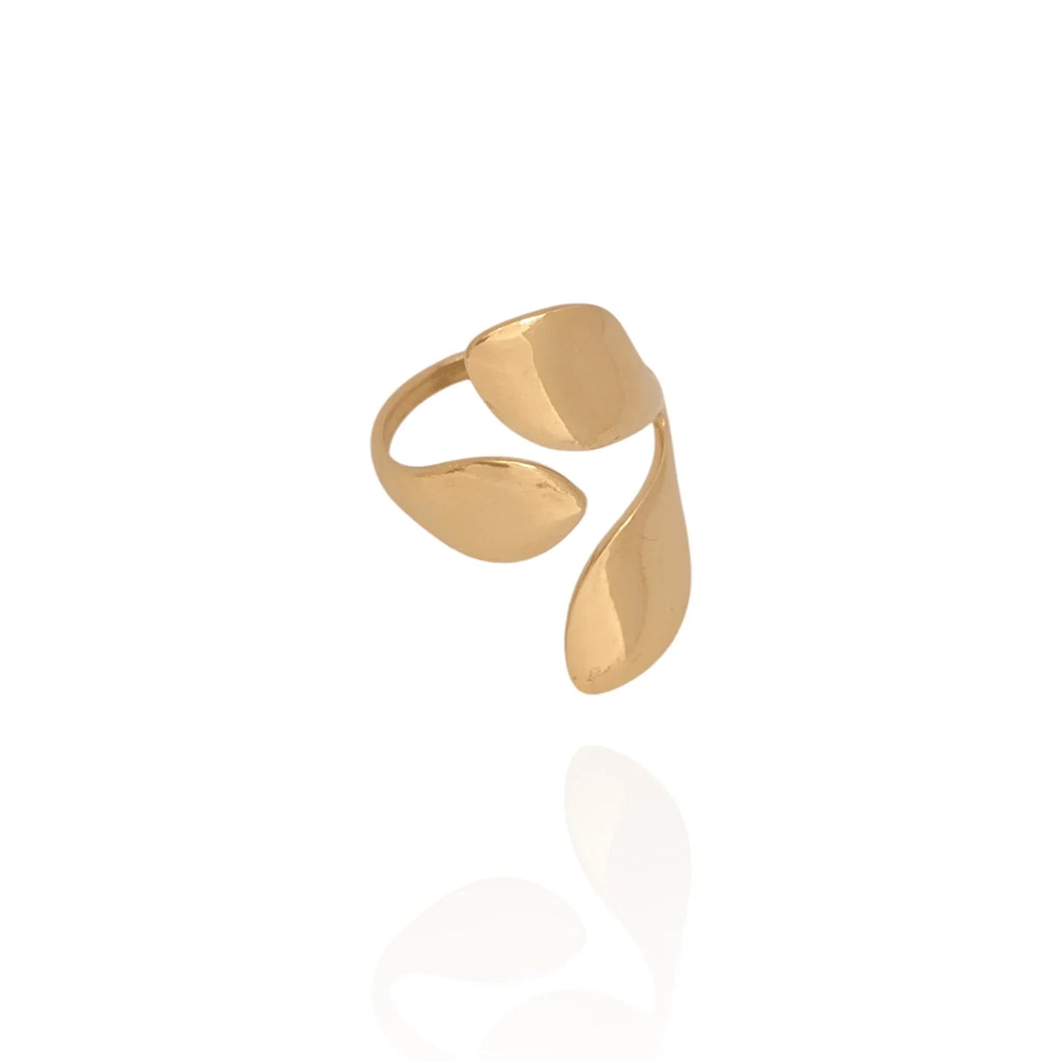 Anillo Afama
