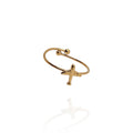 Anillo Avion