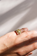 ANILLO BARNA