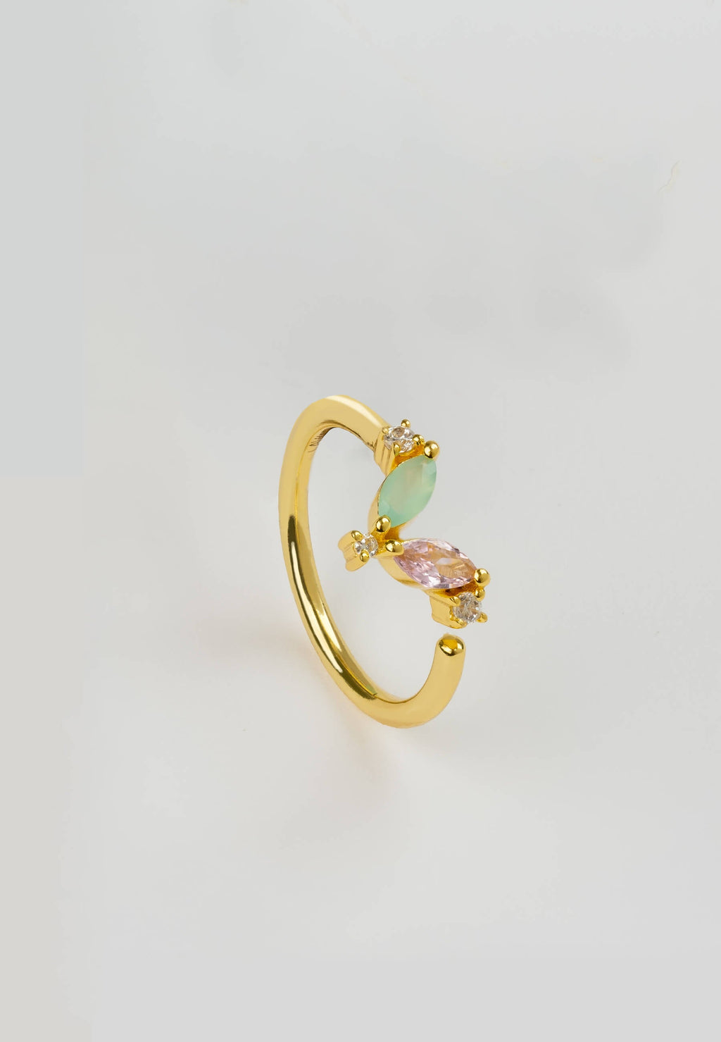 Anillo Denali
