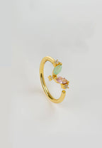 Anillo Denali
