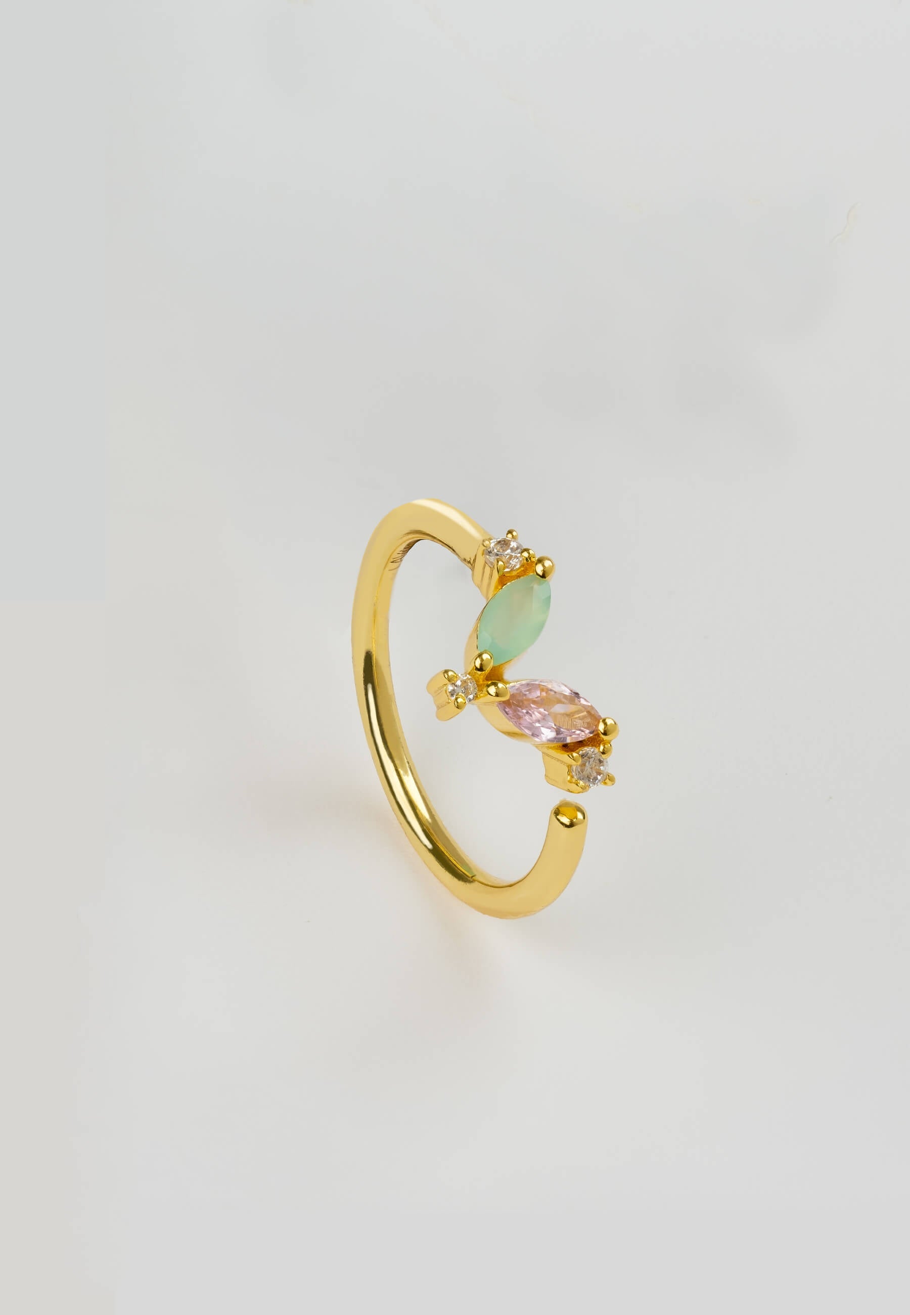 Anillo Denali