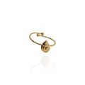 Anillo Concha