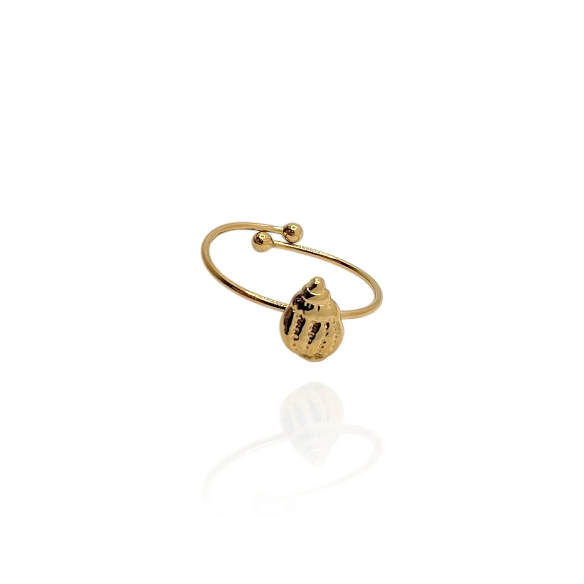 Anillo Concha