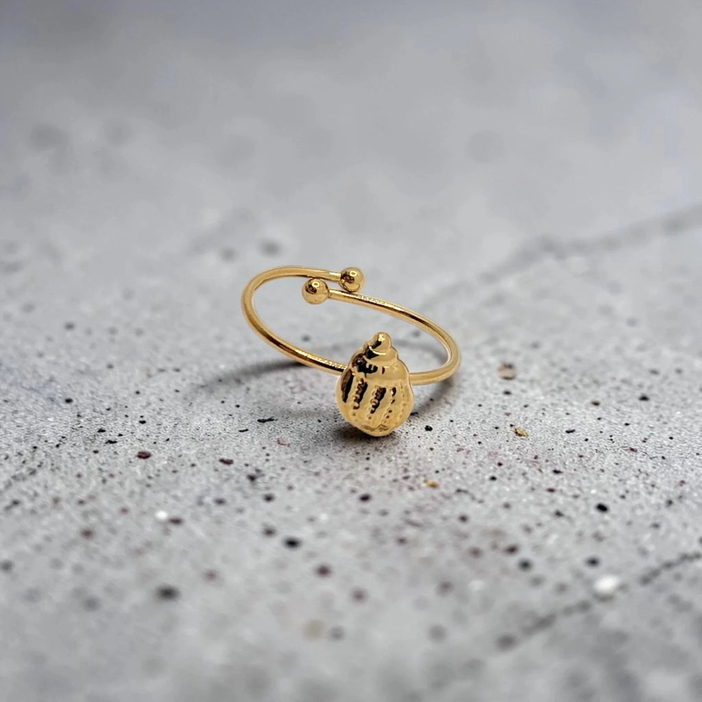 Anillo Concha