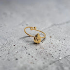 Anillo Concha