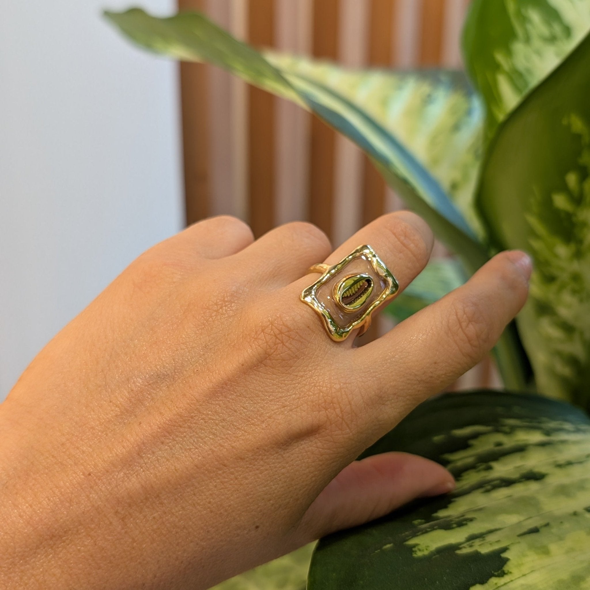 Anillo Concha