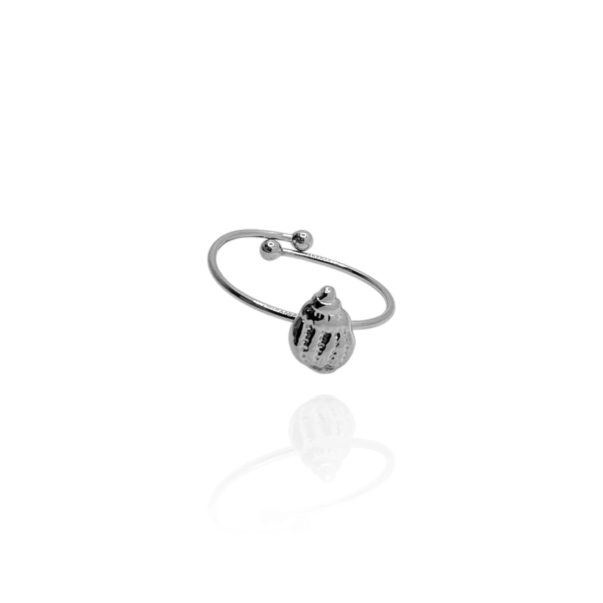 Anillo Concha