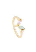 Anillo Denali