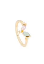 Anillo Denali