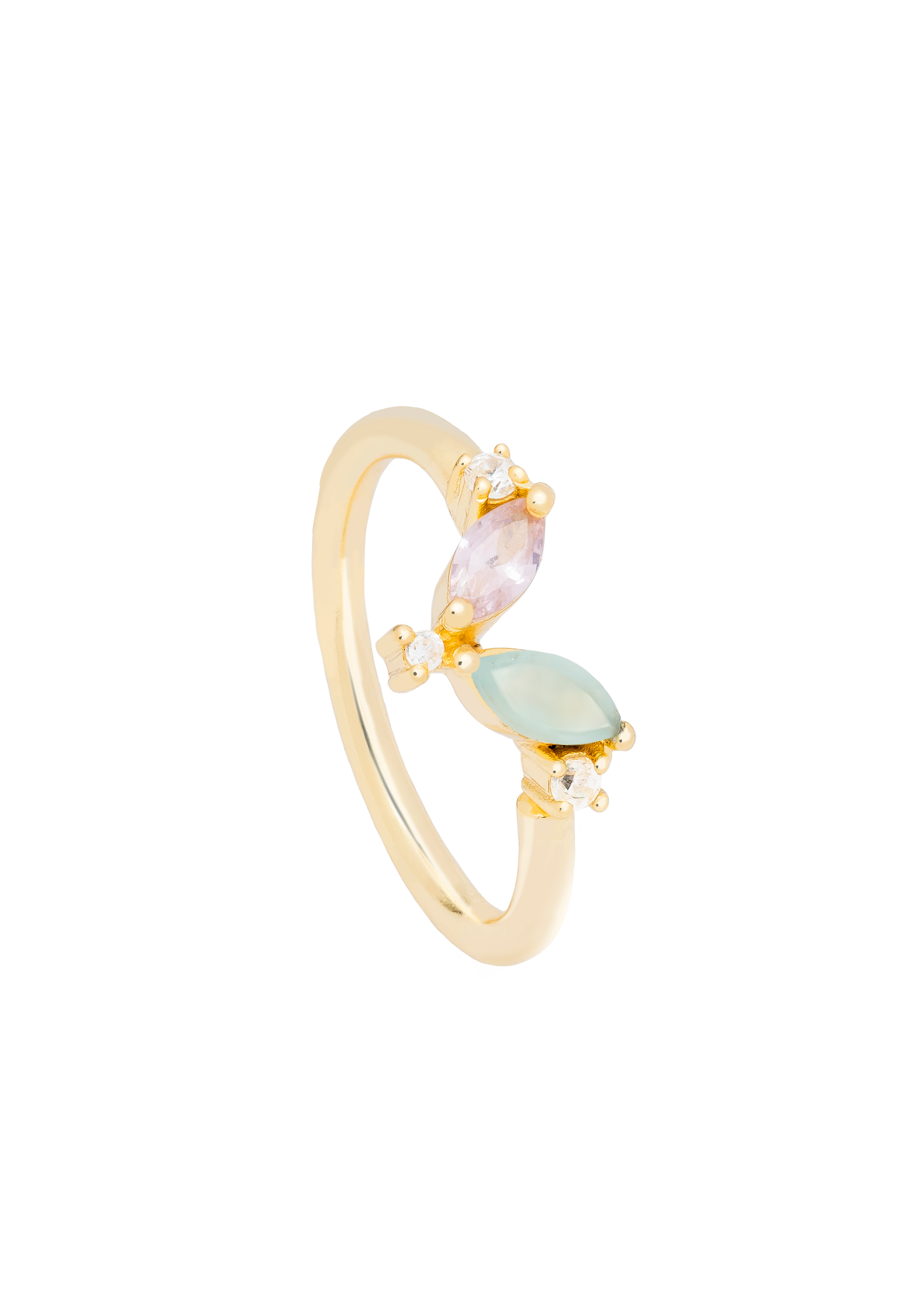 Anillo Denali