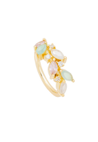 Anillo Padma