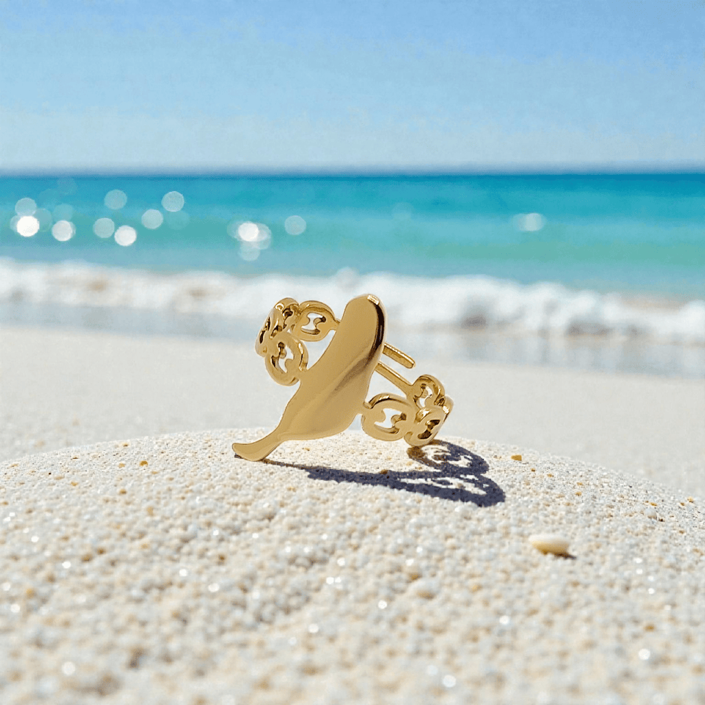 Anillo Fuerteventura