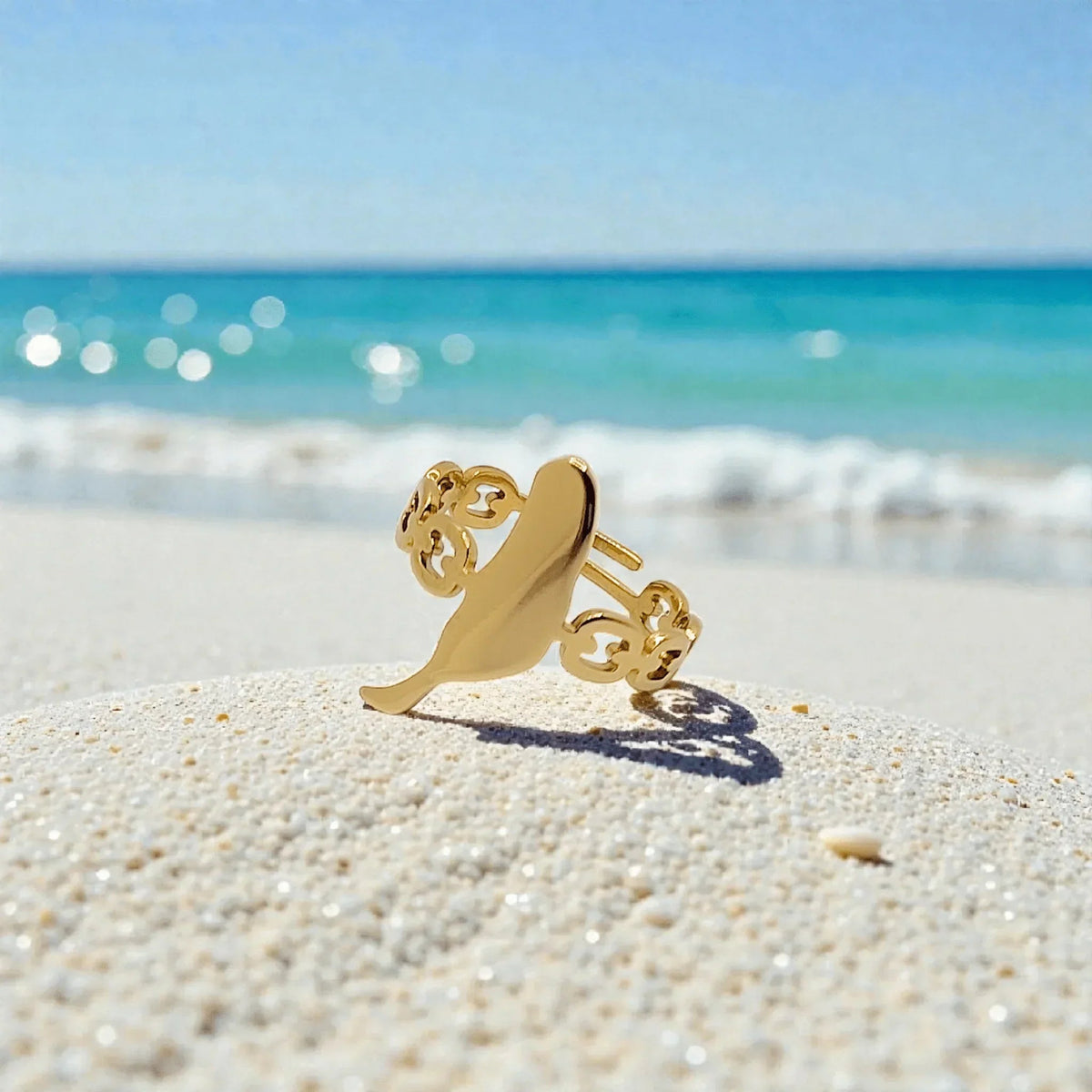 Anillo Fuerteventura