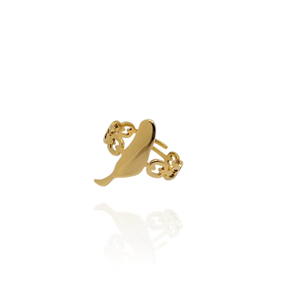 Anillo Fuerteventura