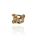 Anillo Galua