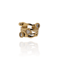 Anillo Galua