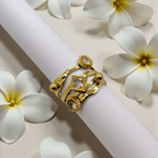 Anillo Galua