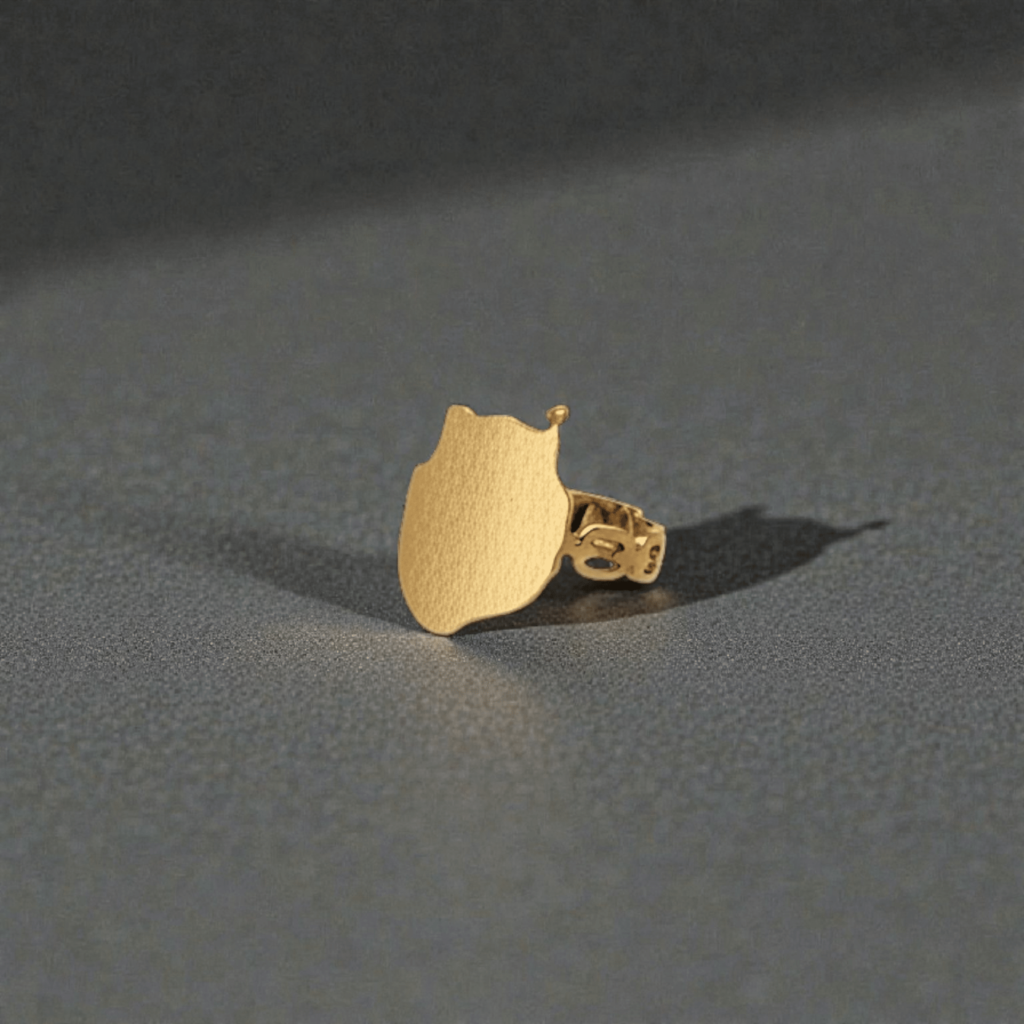 Anillo Gran Canaria