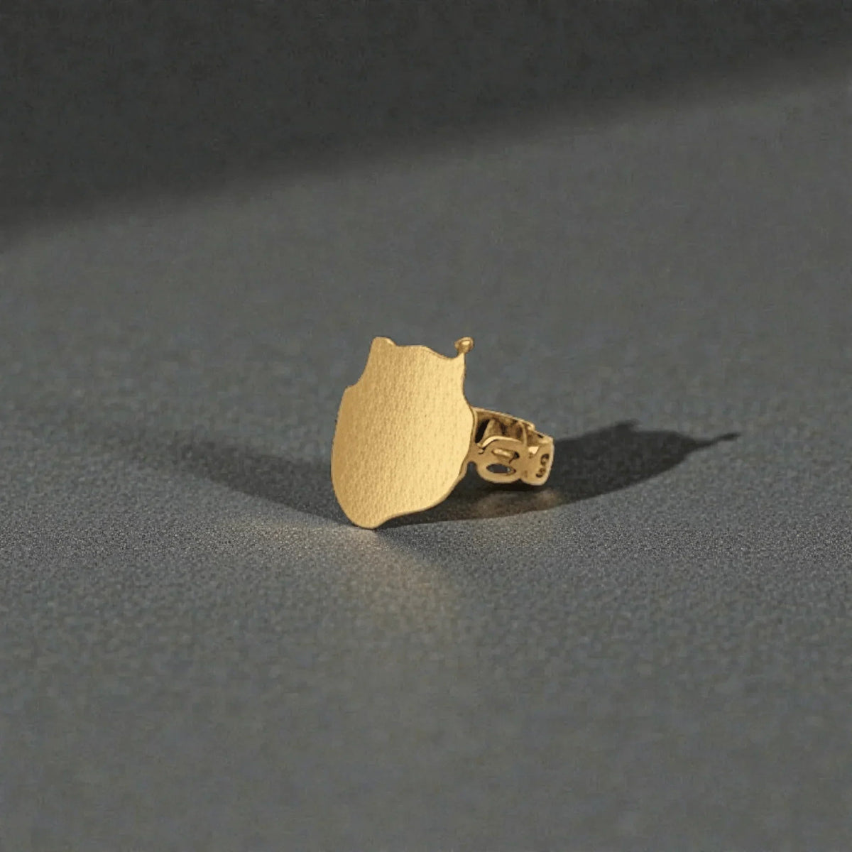 Anillo Gran Canaria