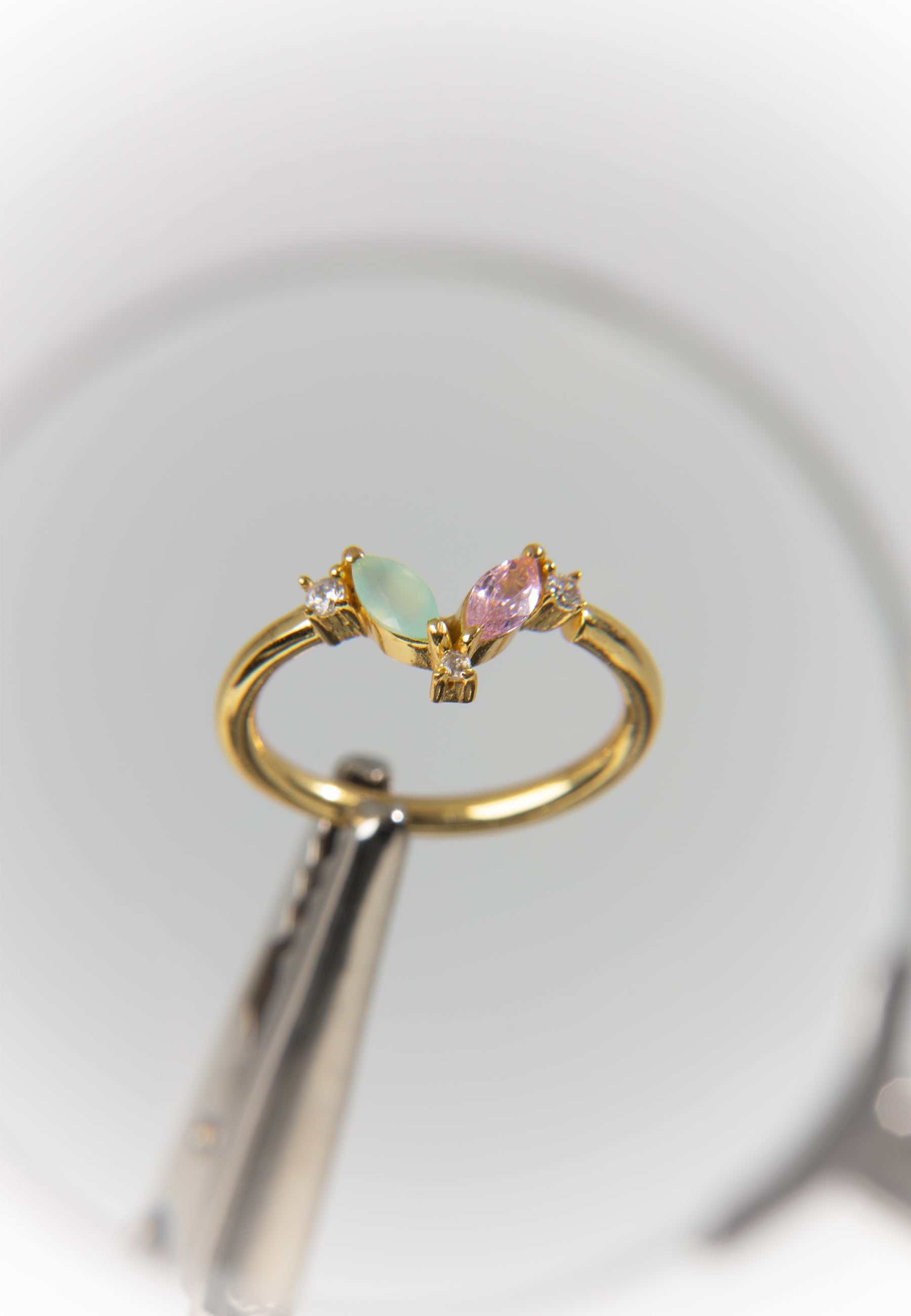 Anillo Denali