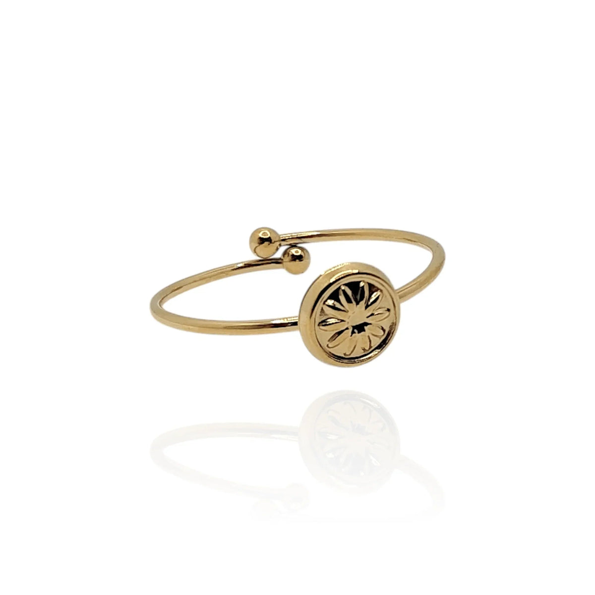 Anillo Lera