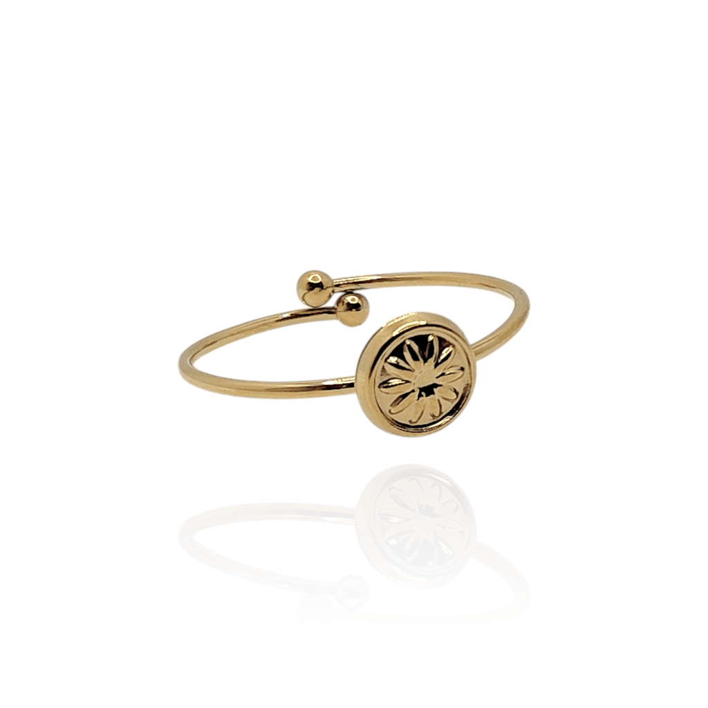 Anillo Lera