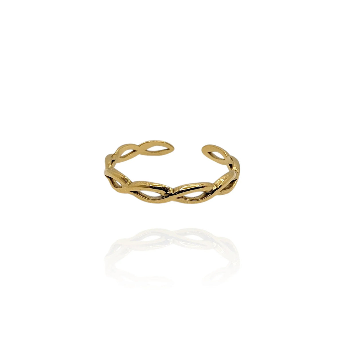 Anillo Sabi