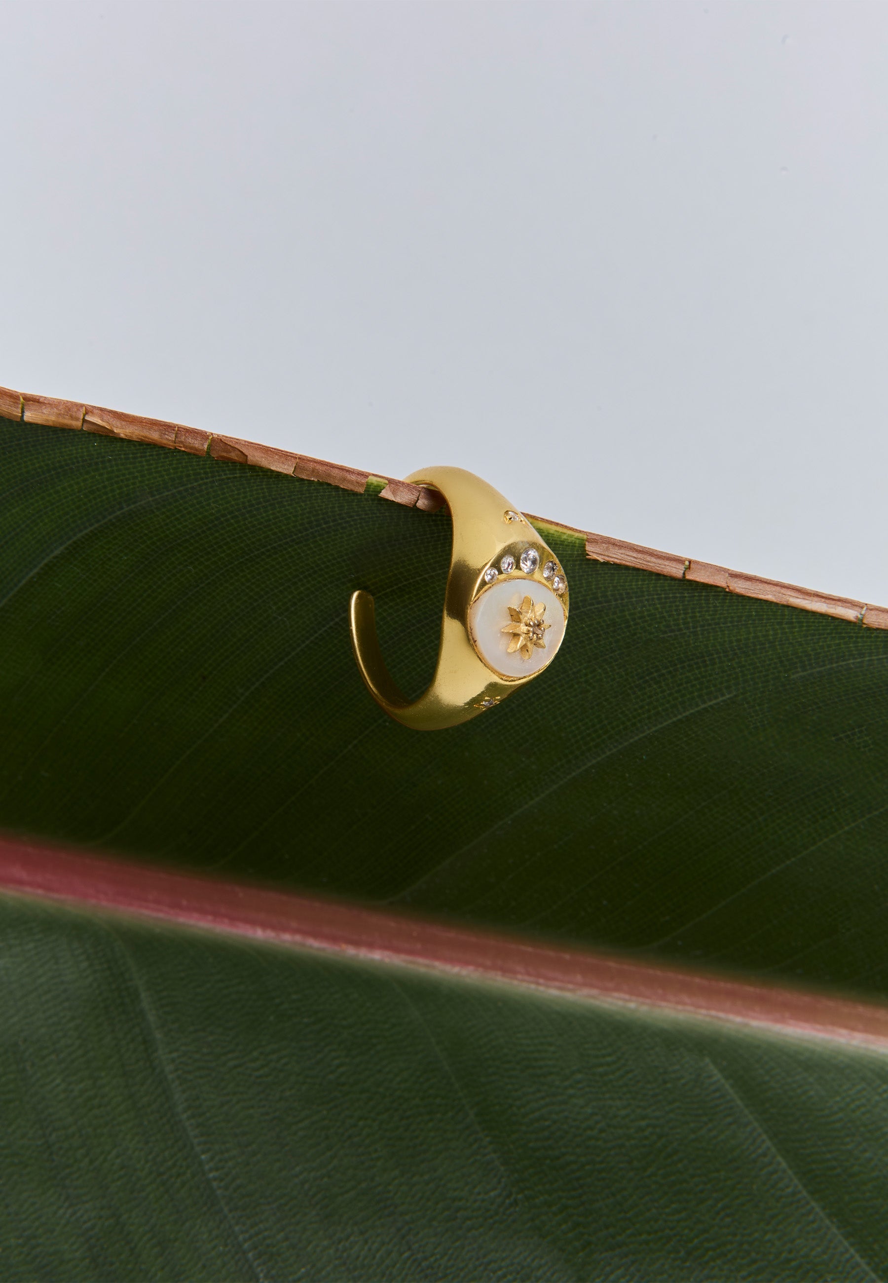 Anillo Celestial Signet