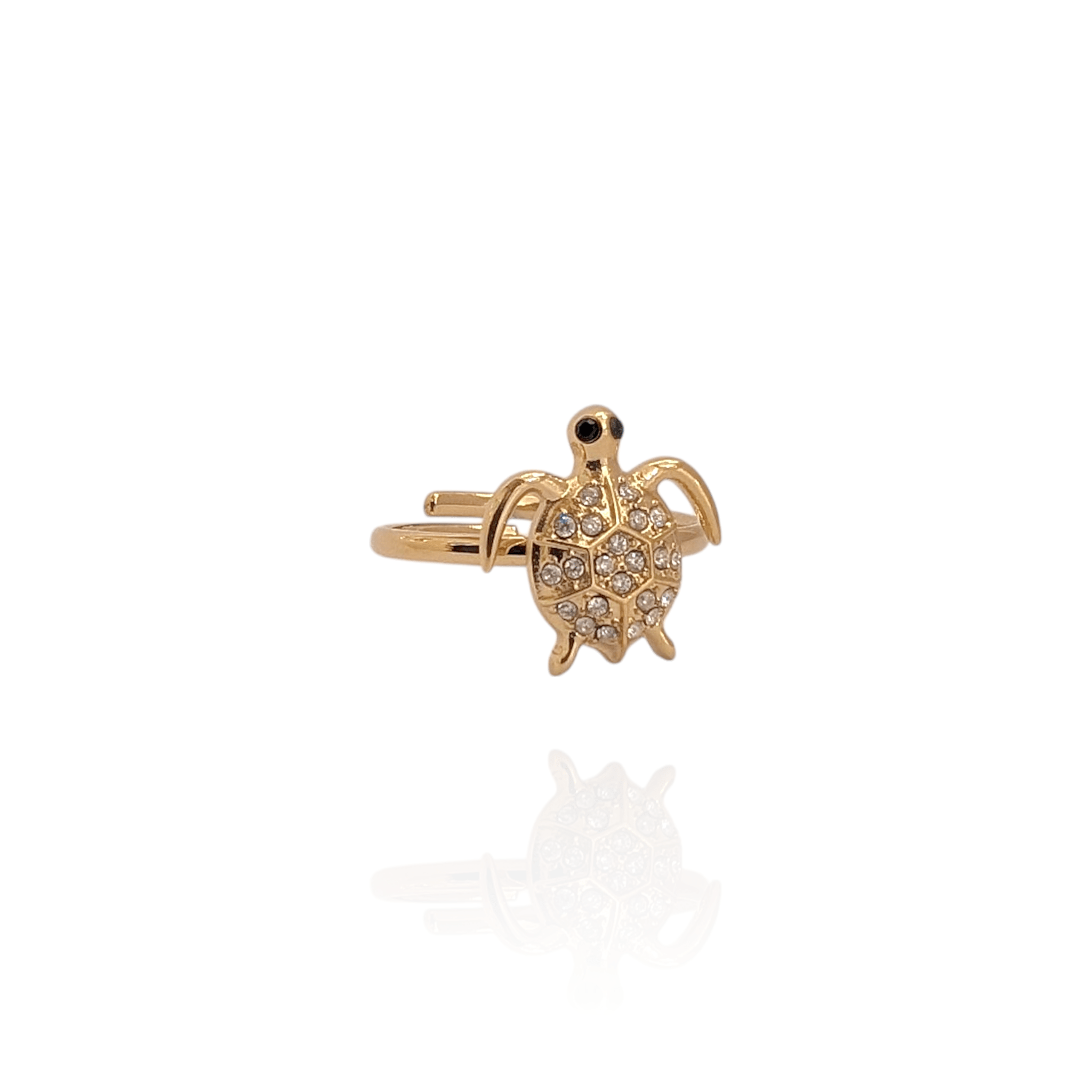Anillo Tortuga