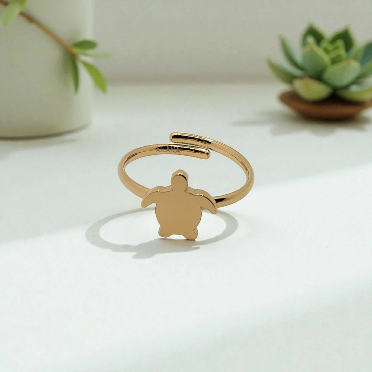 Anillo Tortuga