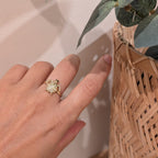 Anillo Tortuga