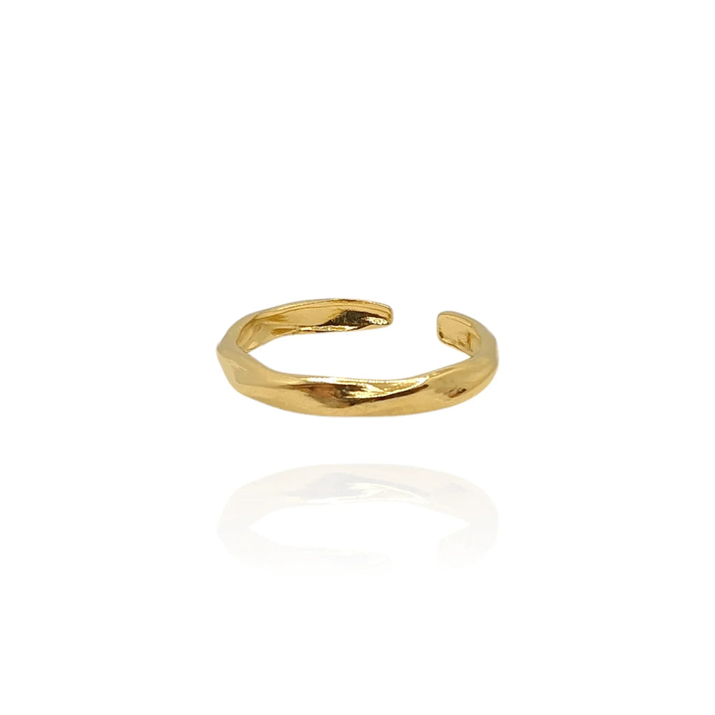 Anello per contenitore vino