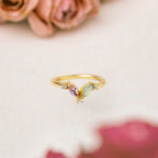 Anillo Denali