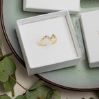 Anillo Denali