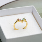 Anillo Denali