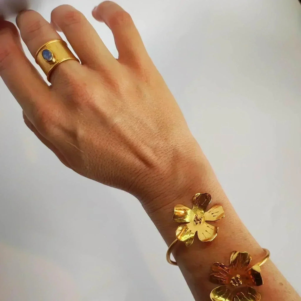 Anillo Lúa