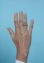Anillo Granate Enero
