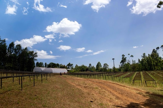 Mutitu, Kenia