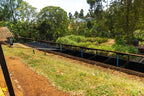 Mutitu, Kenia