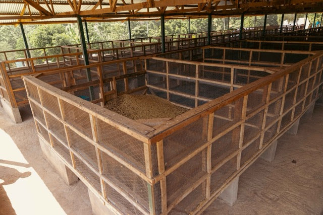 Mutitu, Kenia