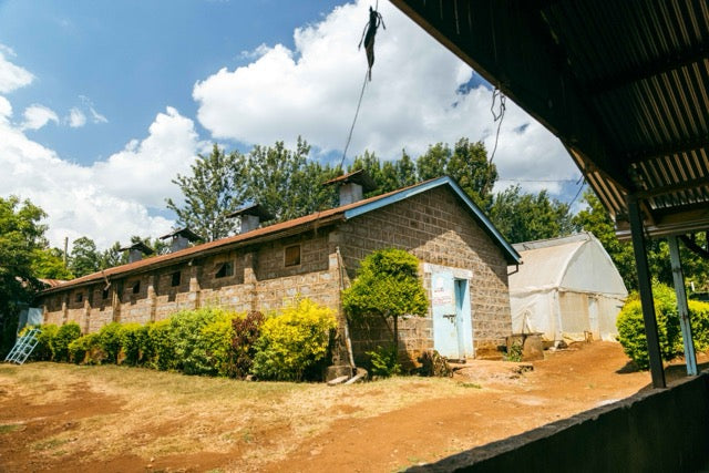 Mutitu, Kenia