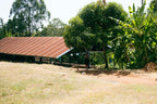Mutitu, Kenia
