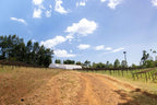 Mutitu, Kenia
