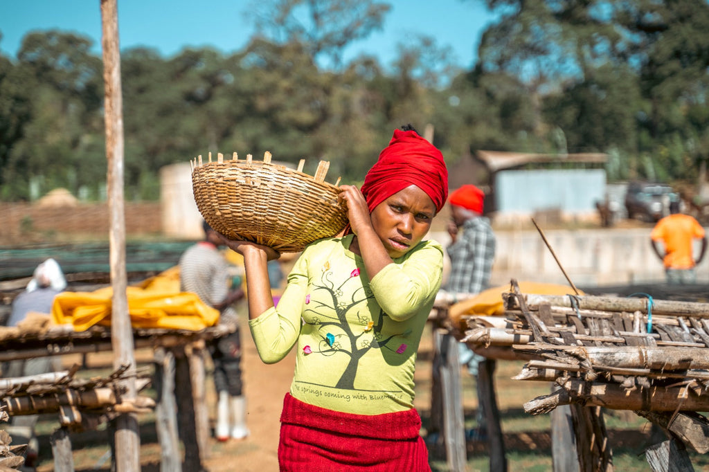 Yabitu Tume, Ethiopia